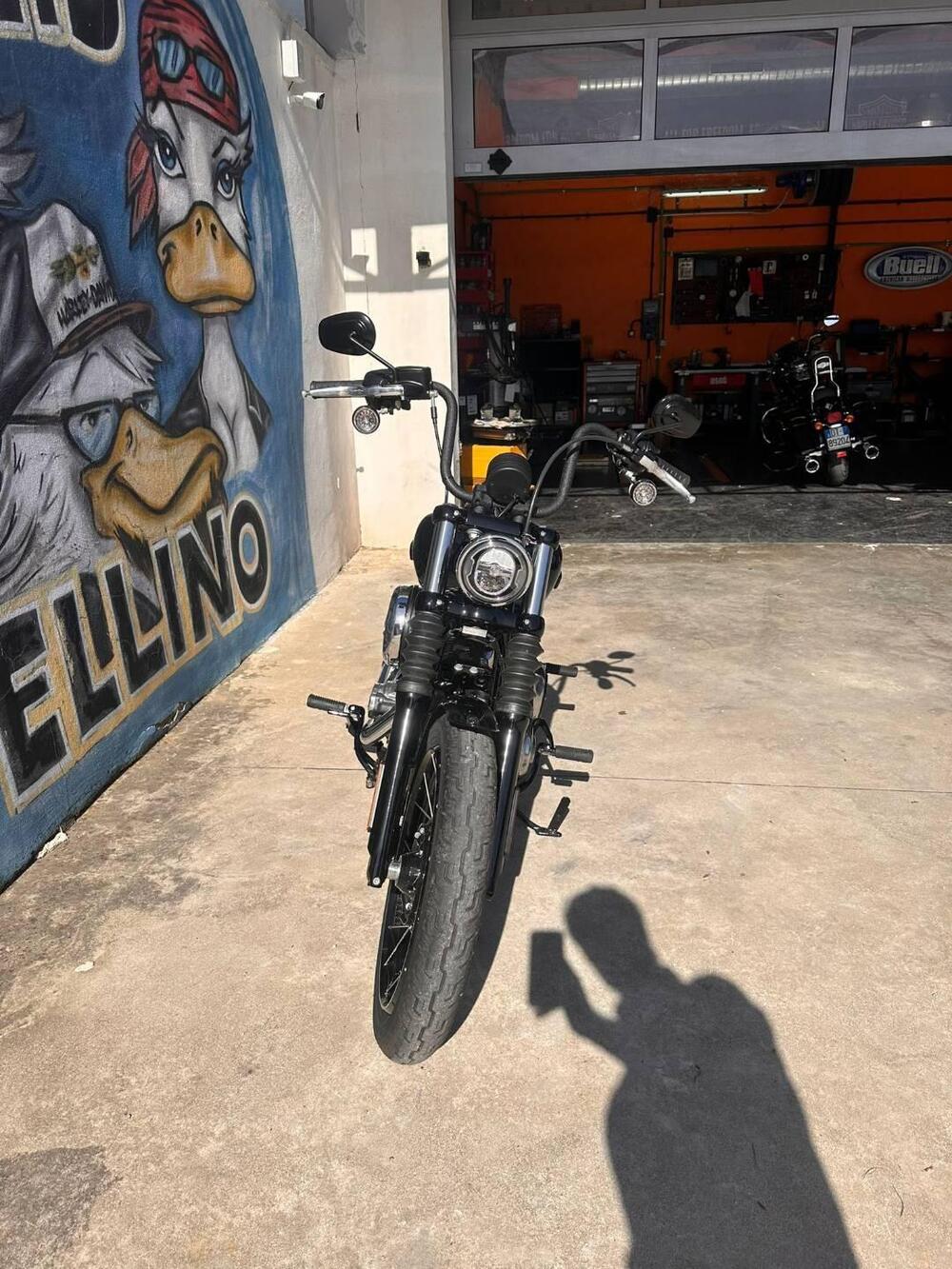 Harley-Davidson Street Bob 117 (2025 - 26) (6)