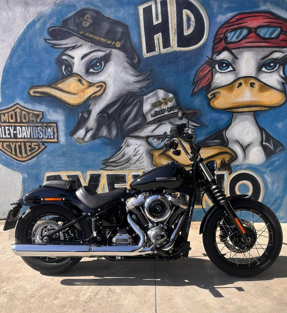 Harley-Davidson Street Bob 117 (2025 - 26) (9)