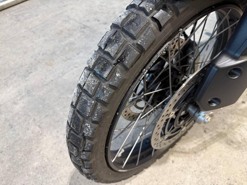 Triumph Tiger 1200 Rally Pro (2022 - 23) (10)