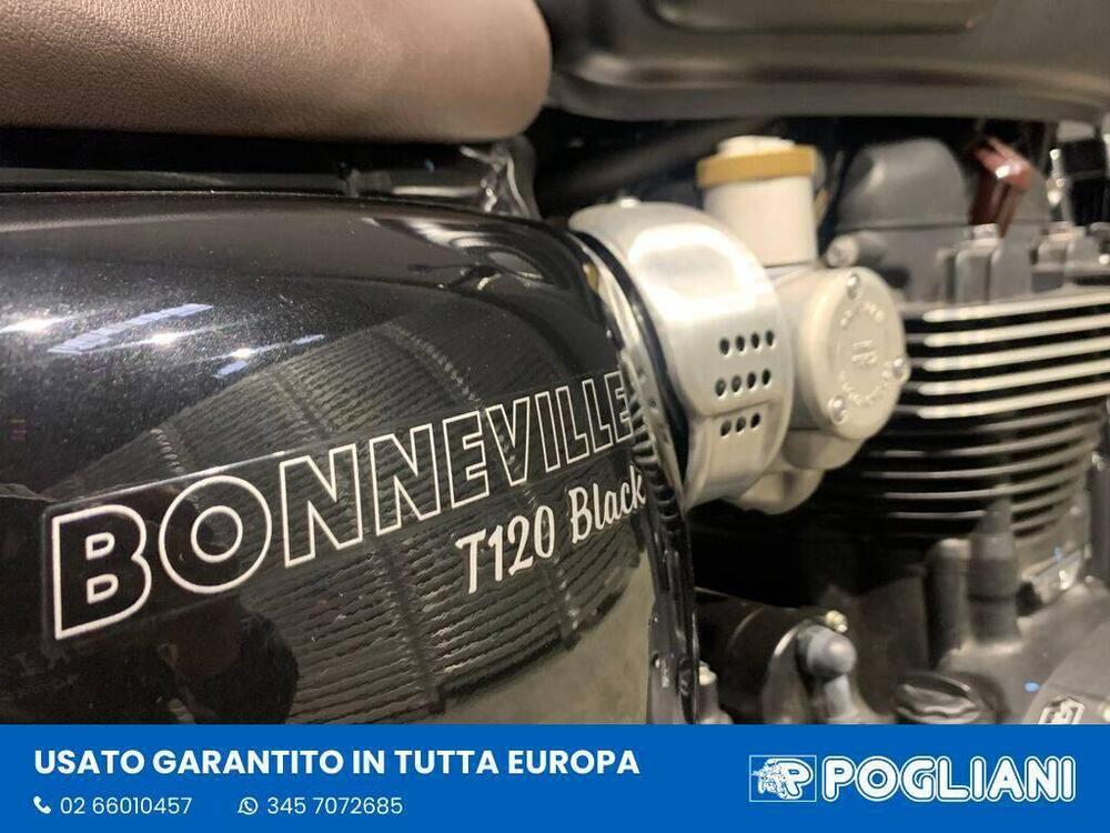 Triumph Bonneville T120 Black (2021 - 25) (10)