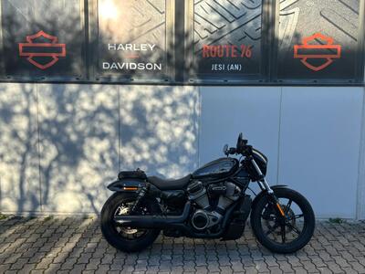 Harley-Davidson Nightster (2023 - 26) usata