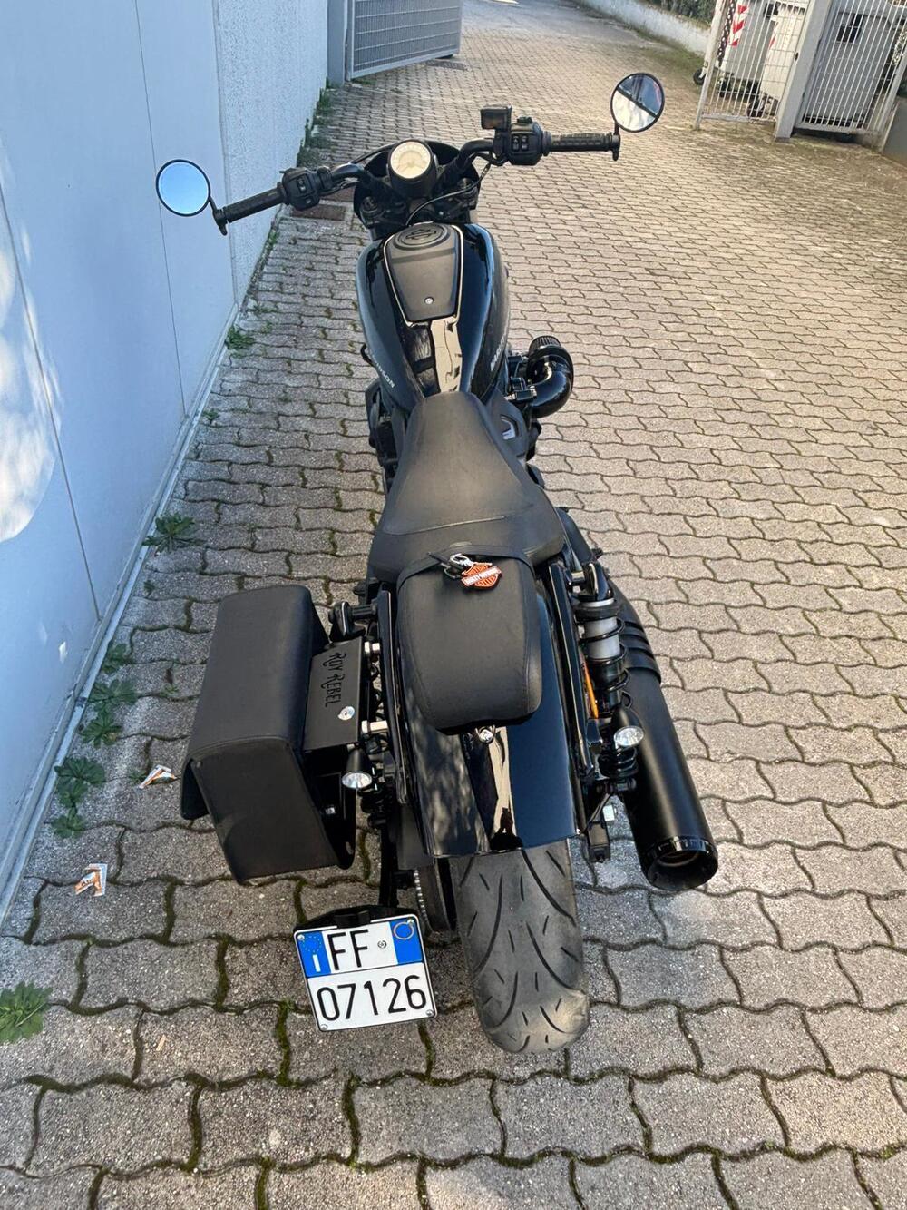 Harley-Davidson Nightster (2023 - 26) (6)