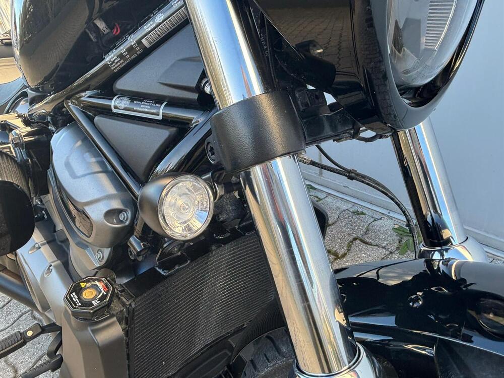 Harley-Davidson Nightster (2023 - 26) (4)