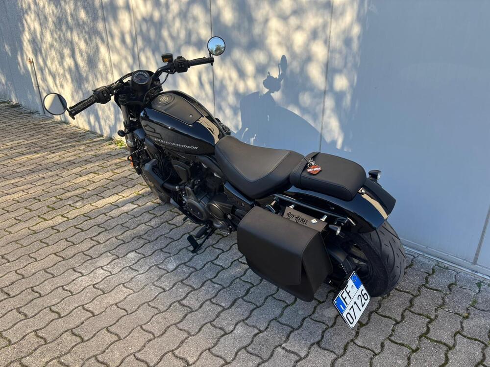 Harley-Davidson Nightster (2023 - 26) (11)