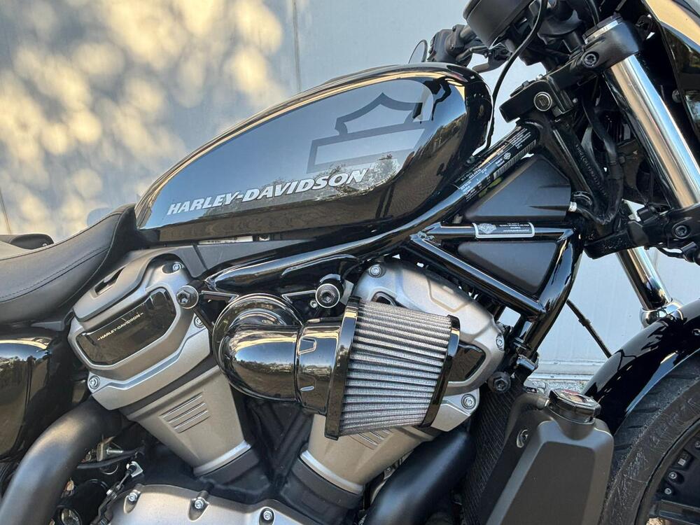Harley-Davidson Nightster (2023 - 26) (13)