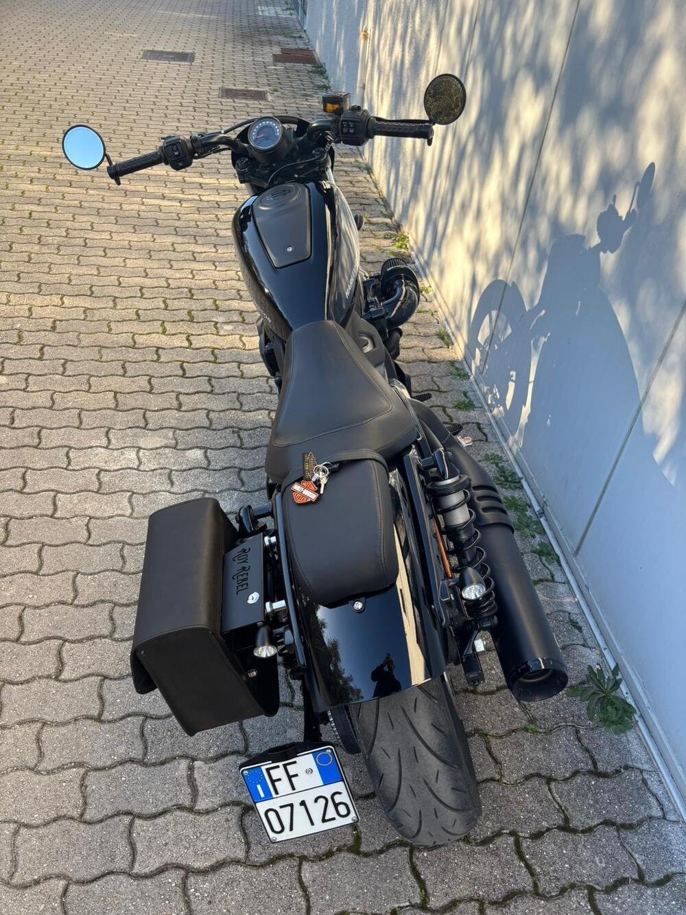 Harley-Davidson Nightster (2023 - 26) (12)