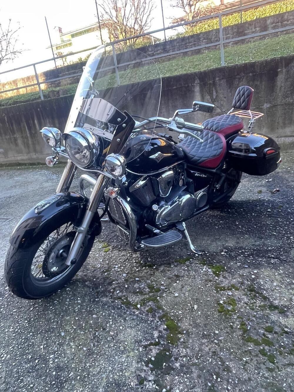 Kawasaki Vulcan VN 900 Classic (2006 - 10) (5)