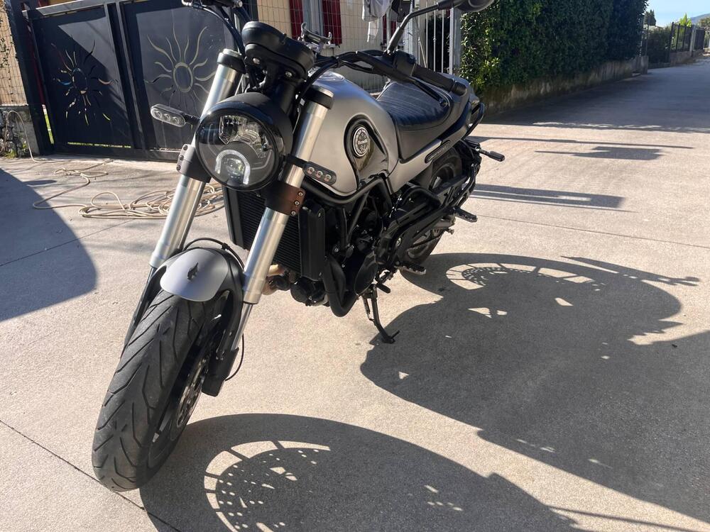 Benelli Leoncino 500 (2021 - 25) (4)