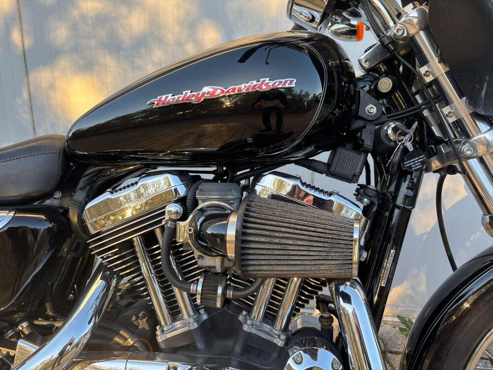 Harley-Davidson 1200 Custom (2004 - 06) - XL 1200C (5)