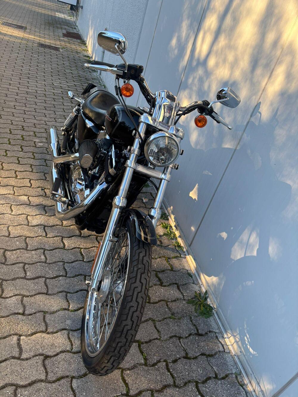 Harley-Davidson 1200 Custom (2004 - 06) - XL 1200C (2)