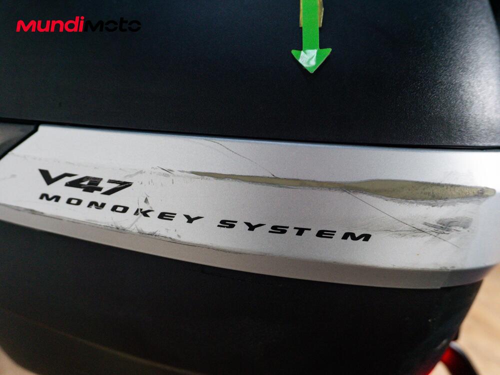 Benelli Leoncino 800 (2022 - 26) (13)