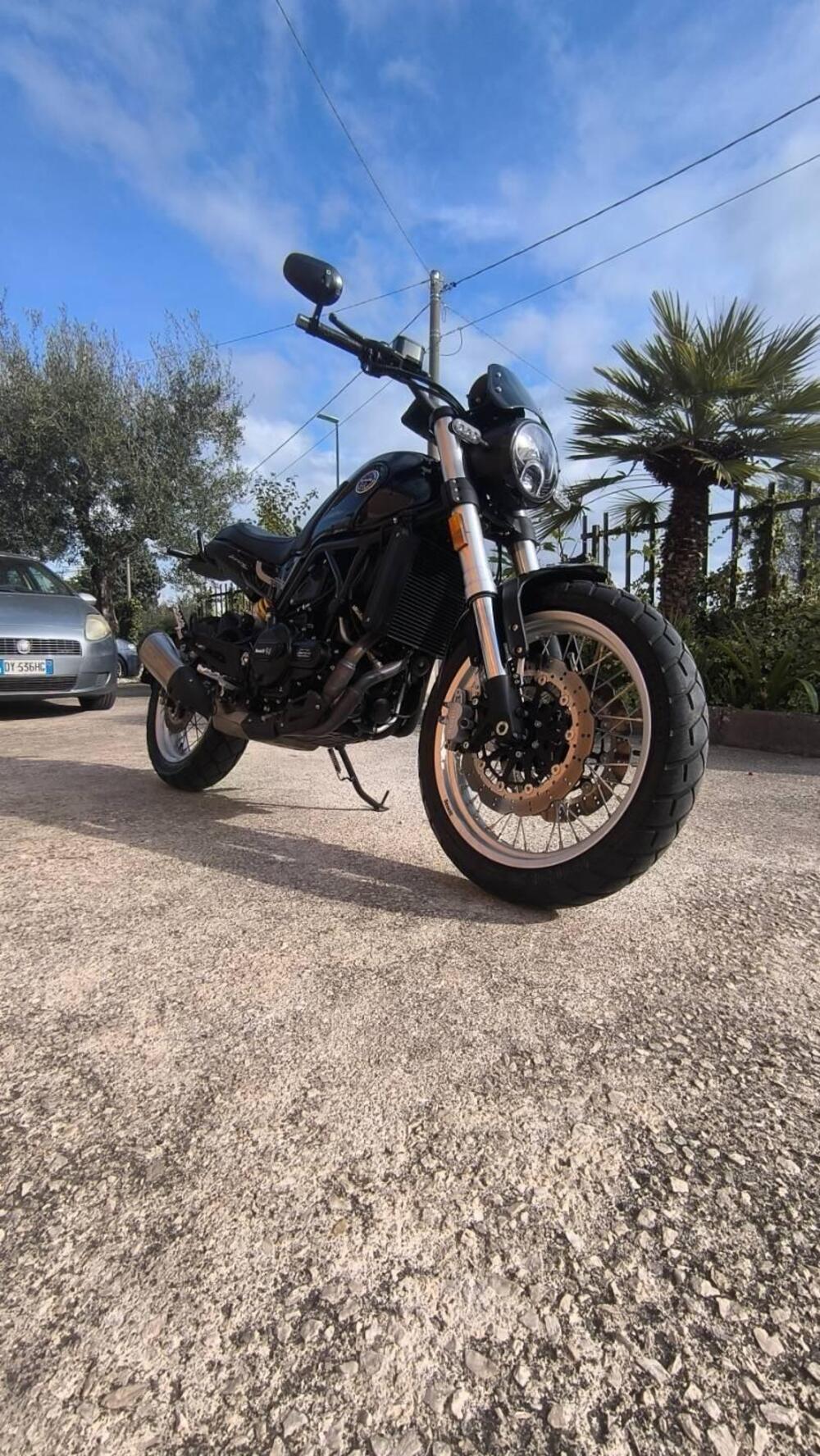 Benelli Leoncino 500 Trail (2021 - 26)