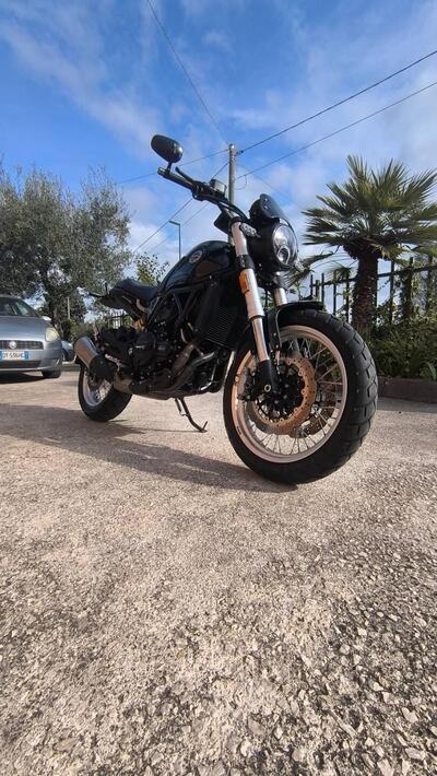 Benelli Leoncino 500 Trail (2021 - 26) usata