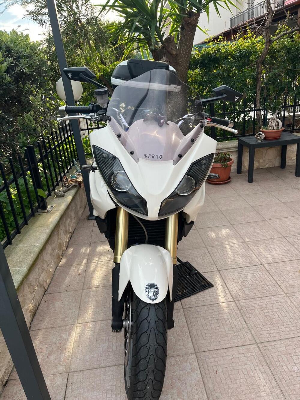 Triumph Tiger 1050 (2006 - 12) (3)