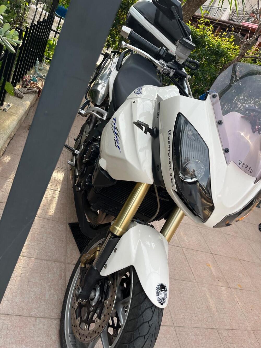 Triumph Tiger 1050 (2006 - 12) (4)