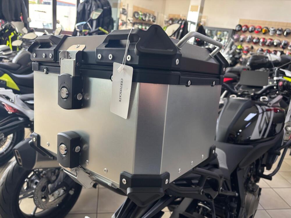 QJ Motor SRT 600 SX (2024 - 26) (7)