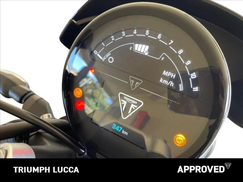 Triumph Trident 660 Triple Tribute Edition (2025 - 26) (7)