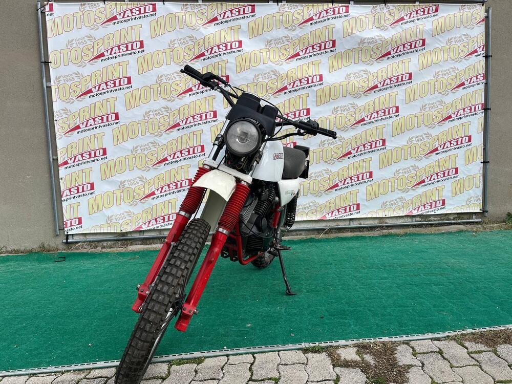 Moto Morini 500 CAMEL (3)