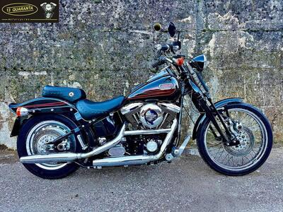 Harley-Davidson 1340 Bad Boy (1995 - 99) usata
