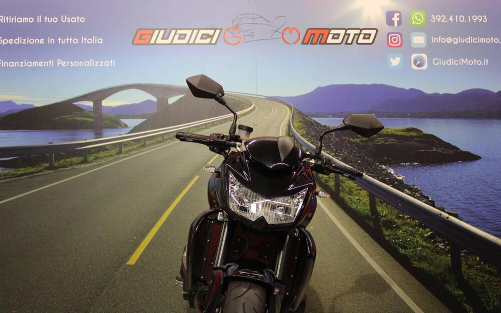 Kawasaki Z 750 (2007 - 14) (9)