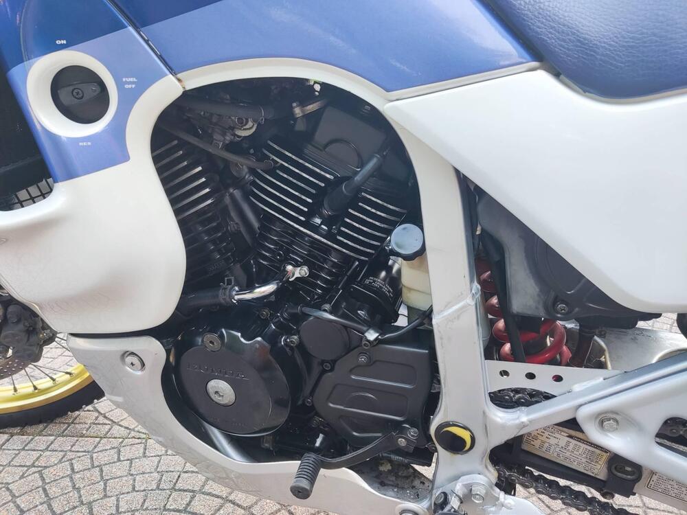 Honda transalp 600 (8)