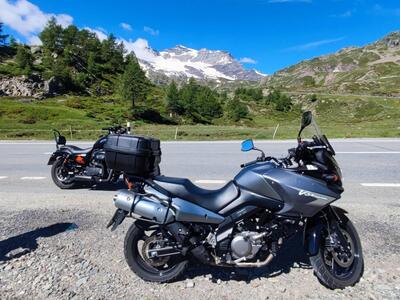 Suzuki V-Strom 650 (2008 - 11) usata