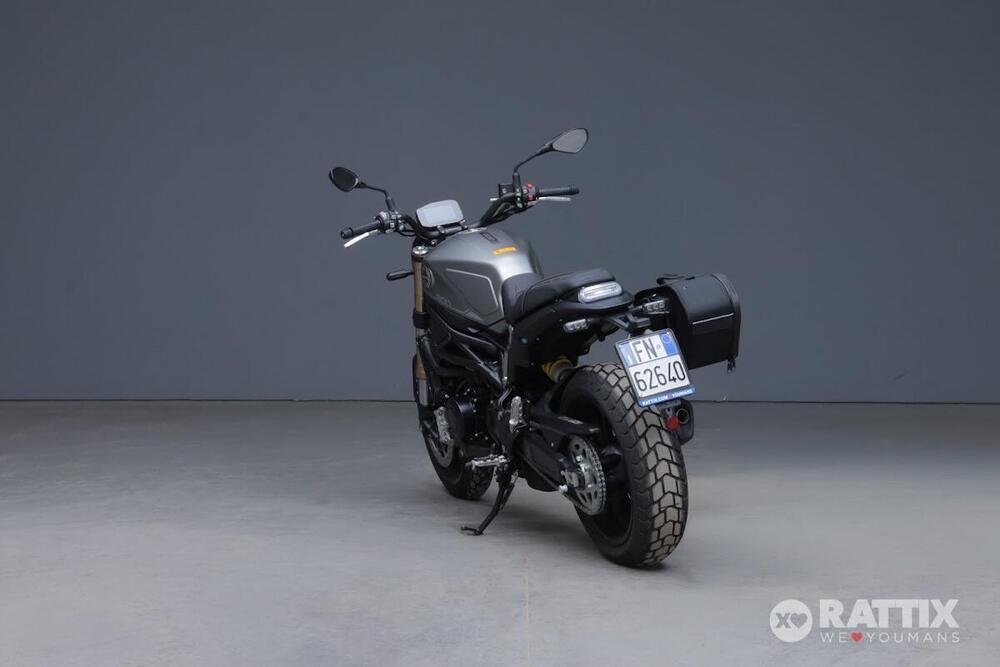 Benelli Leoncino 800 (2022 - 26) (5)