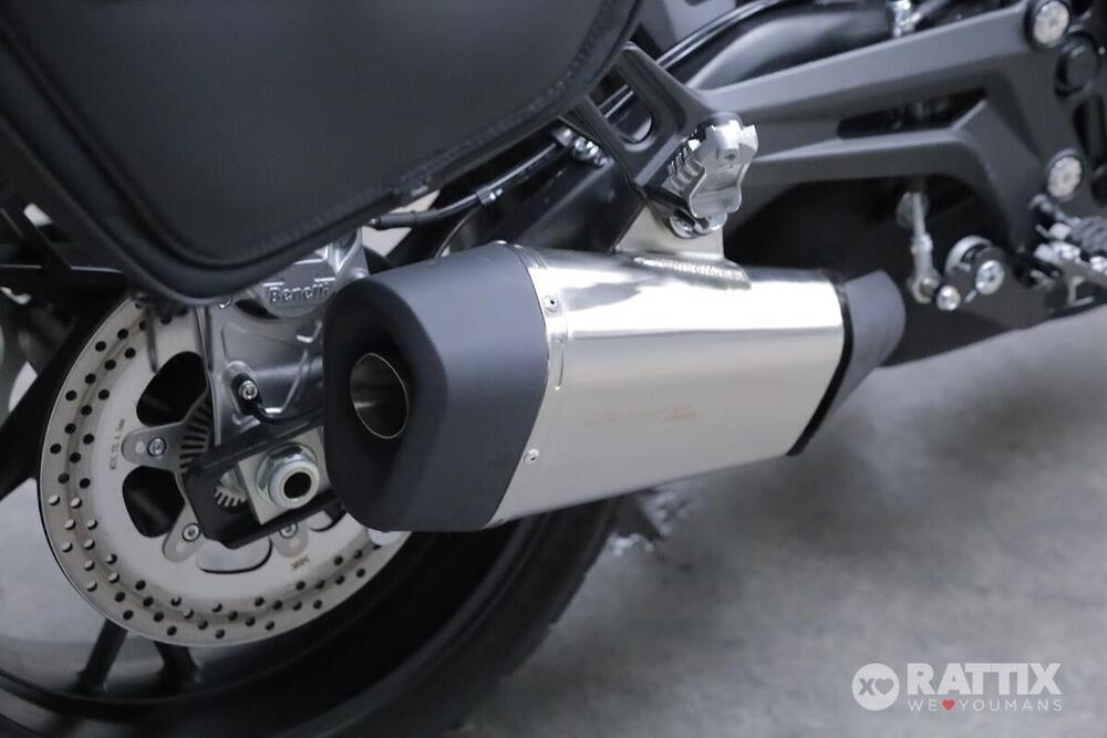 Benelli Leoncino 800 (2022 - 26) (7)