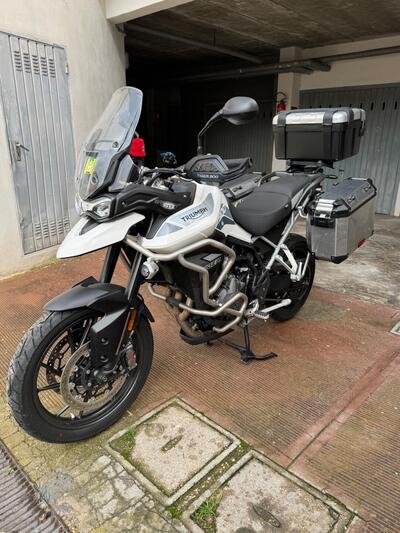 Triumph Tiger 900 GT Pro (2020 - 23) usata