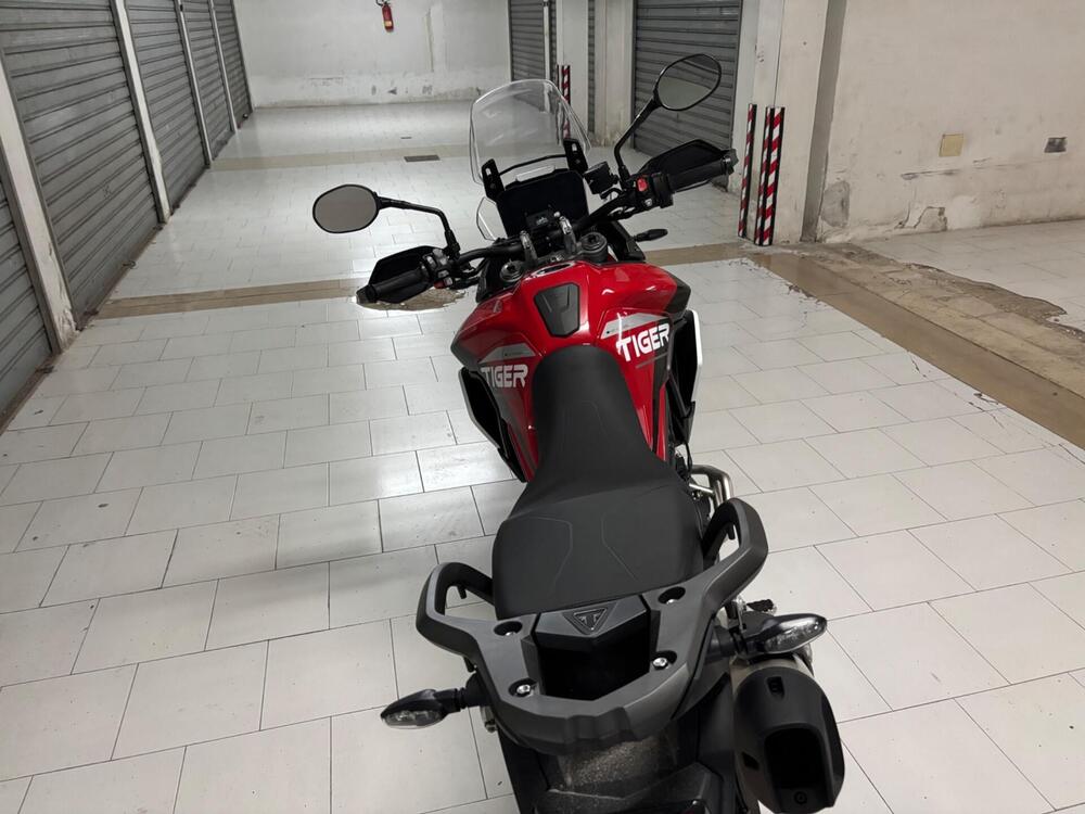 Triumph Tiger 900 GT Aragón Edition (2023 - 24) (8)