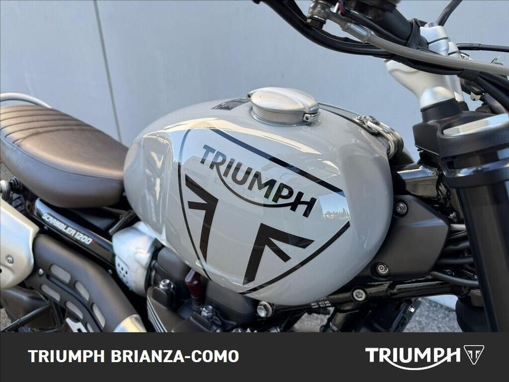 Triumph Scrambler 1200 X (2024 - 26) (4)