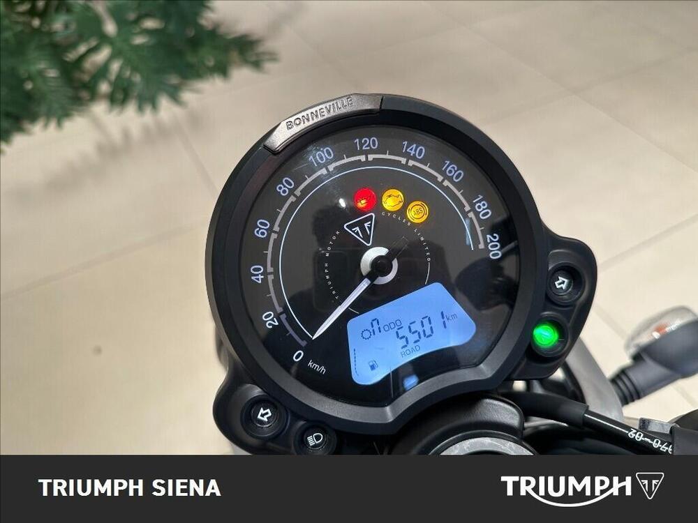 Triumph Speed Twin 900 (2023 - 24) (8)