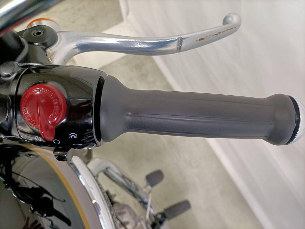 Royal Enfield Meteor 350 Aurora (2024 - 26) (11)