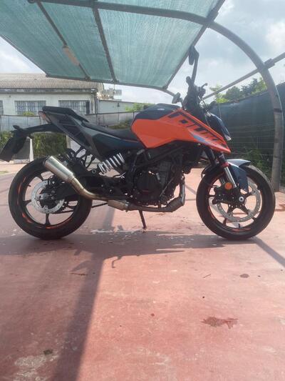 KTM 125 Duke (2024 - 25) usata