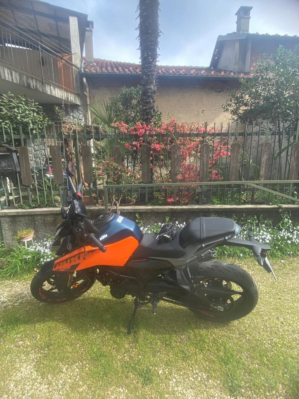 KTM 125 Duke (2024 - 25) (2)