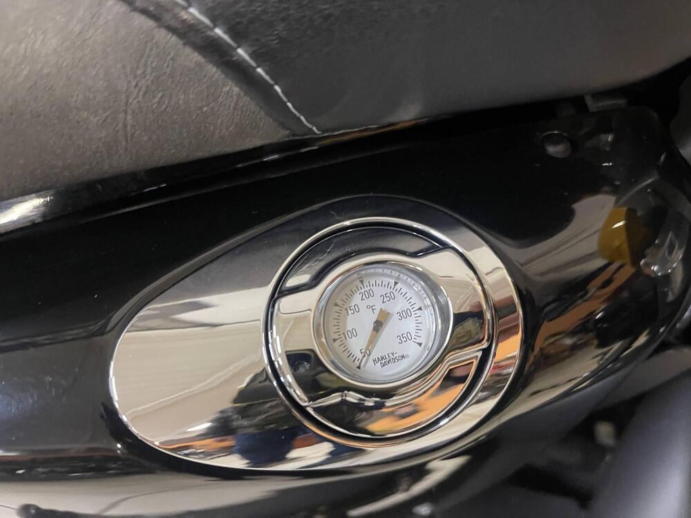 Harley-Davidson 1200 Forty-Eight (2010 - 15) (9)