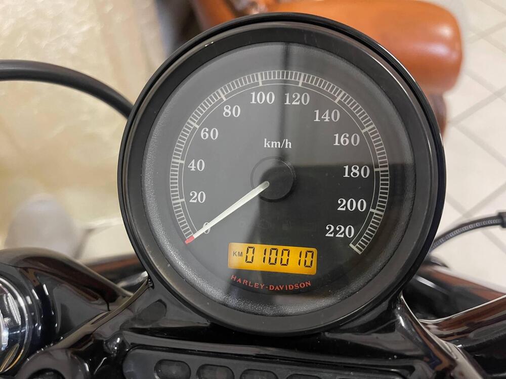 Harley-Davidson 1200 Forty-Eight (2010 - 15) (13)