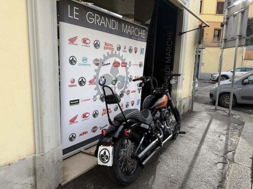 Harley-Davidson Street Bob 114 (2021 - 24) (16)