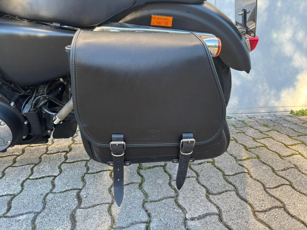 Harley-Davidson 1200 Custom (2018 - 20) - XL1200C (7)