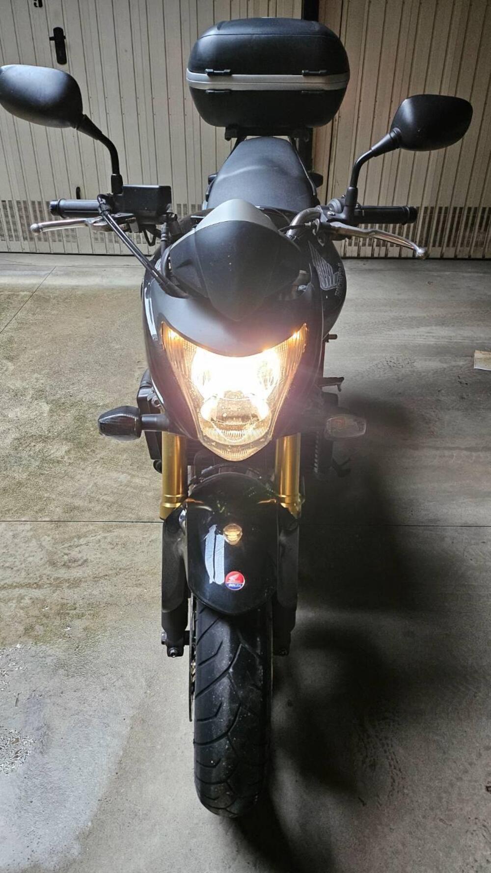 Honda Hornet 600 (2007 - 10) (2)