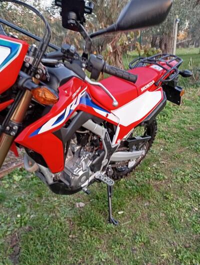 Honda CRF 300L (2021 - 24) usata