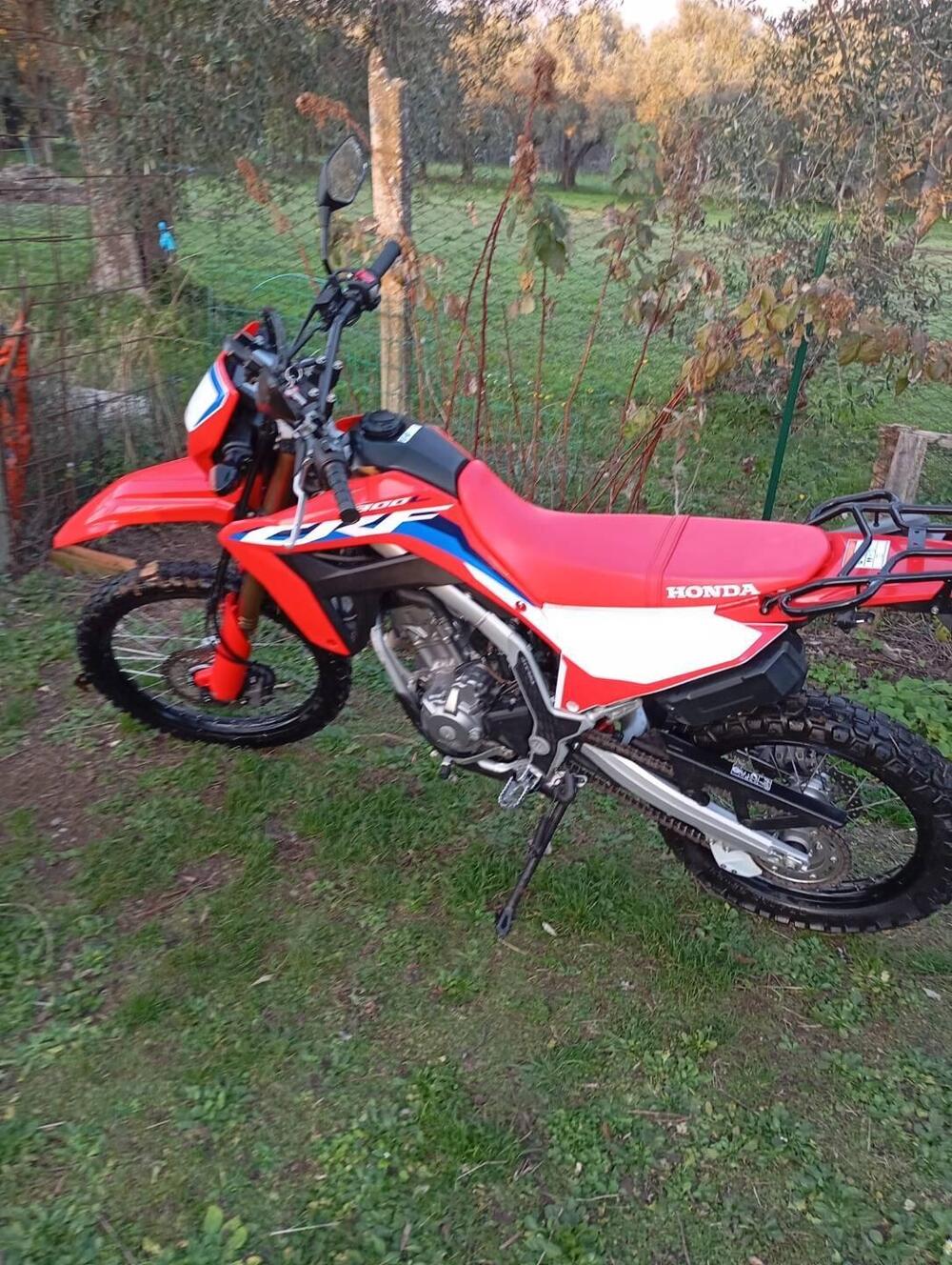 Honda CRF 300L (2021 - 24) (7)
