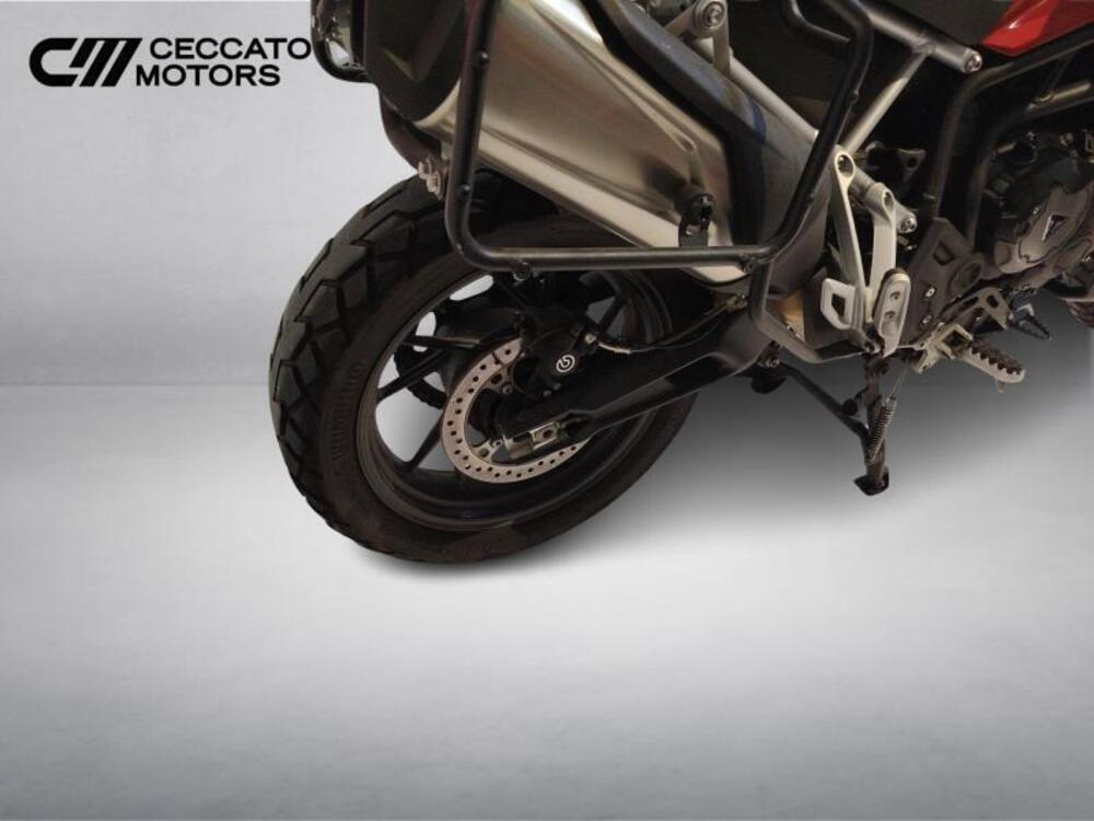 Triumph Tiger 900 GT (2020 - 23) (13)