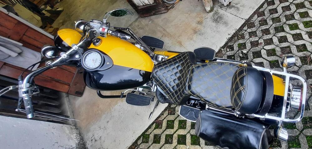 Yamaha XVS 1100 Drag Star (1999 - 06) (5)