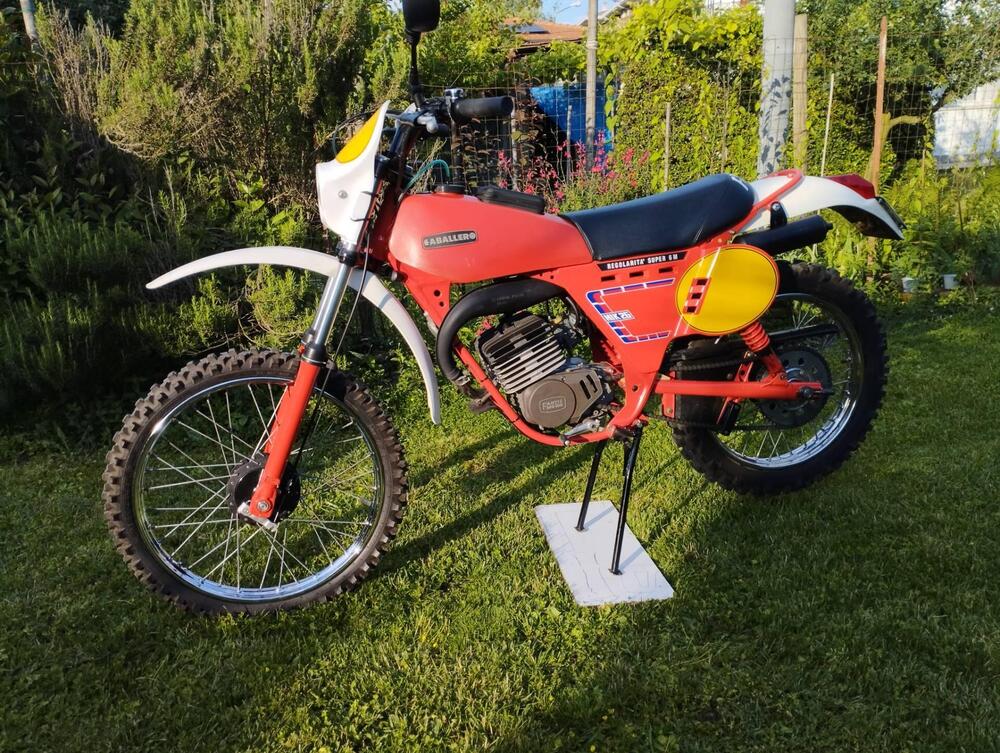 Fantic Motor Cab. Reg. 50 6V