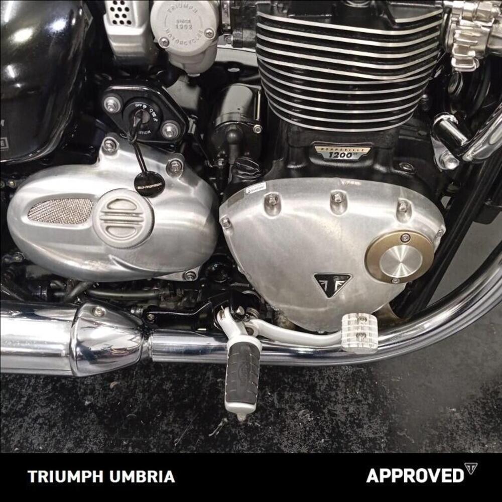 Triumph Bonneville Speedmaster 1200 (2018 - 20) (7)