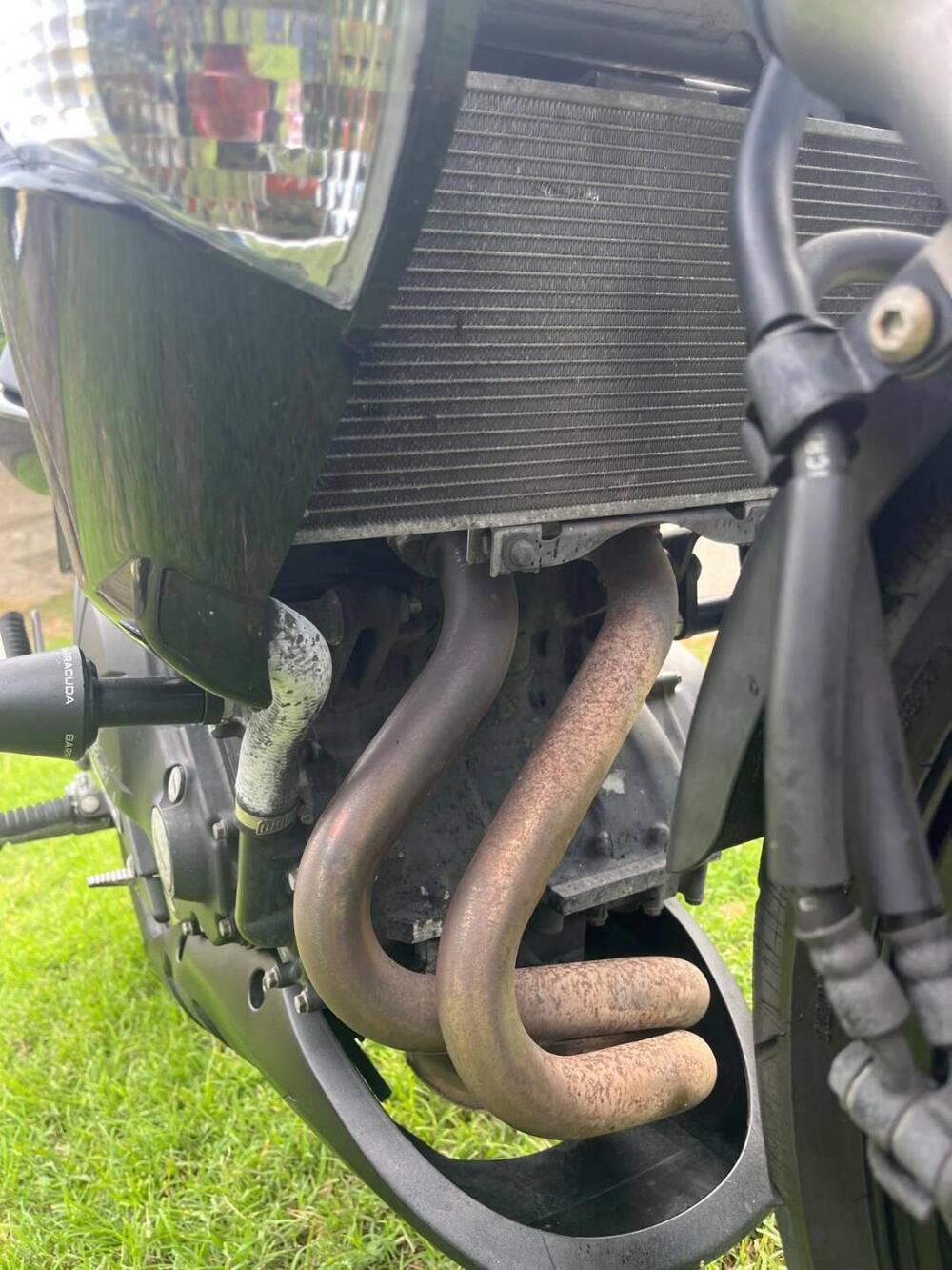 Kawasaki ER-6N (2009 - 11) (9)