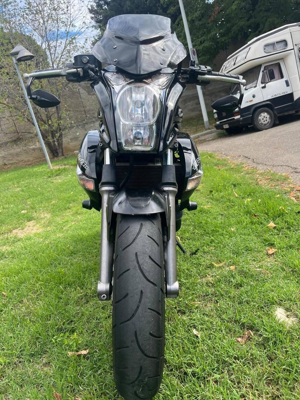 Kawasaki ER-6N (2009 - 11) (13)