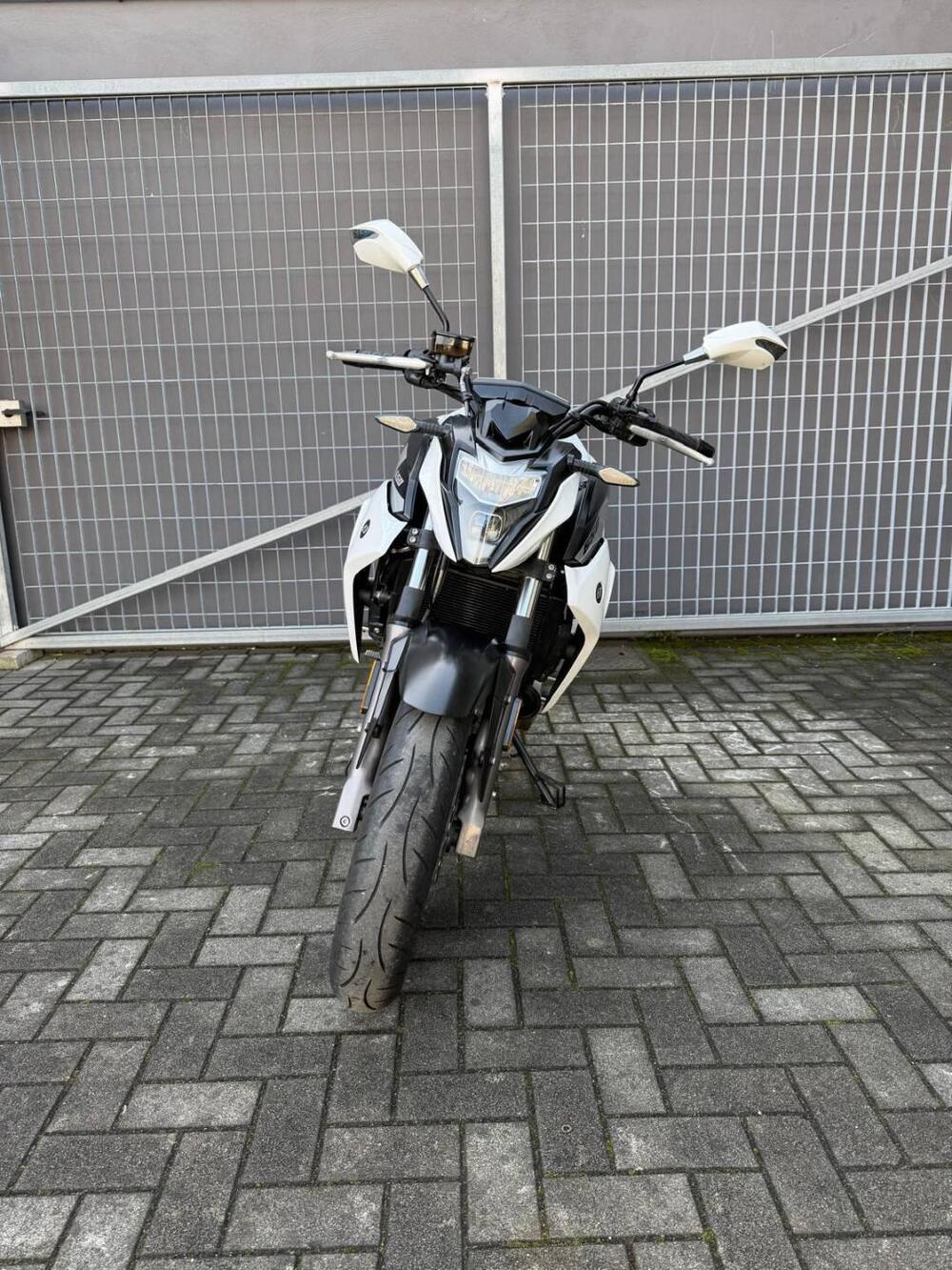 CFMOTO 650NK (2019 - 20) (4)