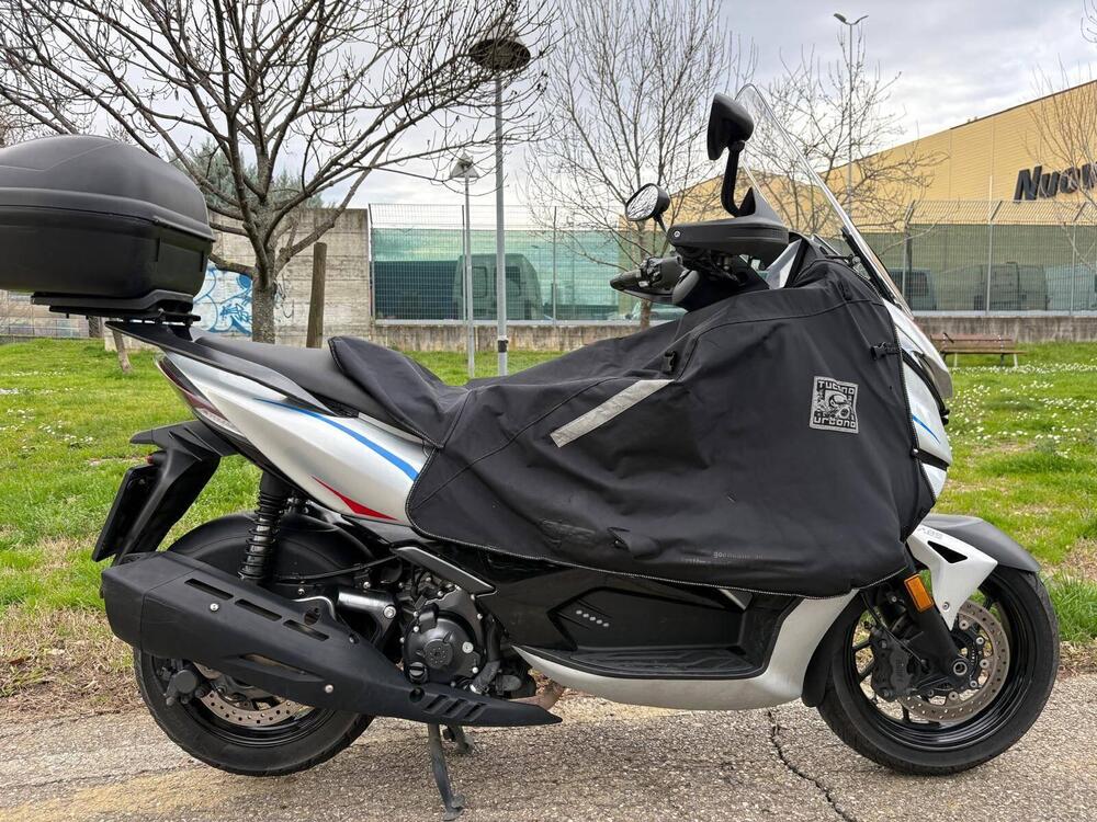 Zontes ZT350-D (2023 - 25) (4)